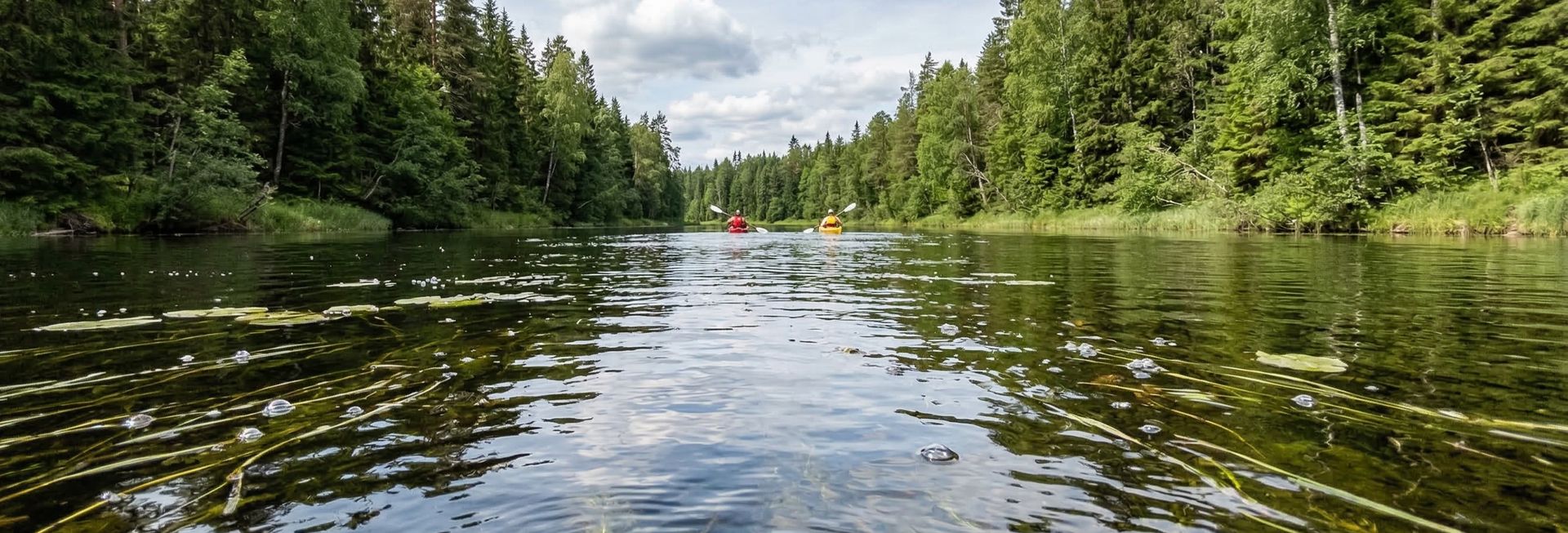 Kayakers on a calm forest river surrounded by pine trees