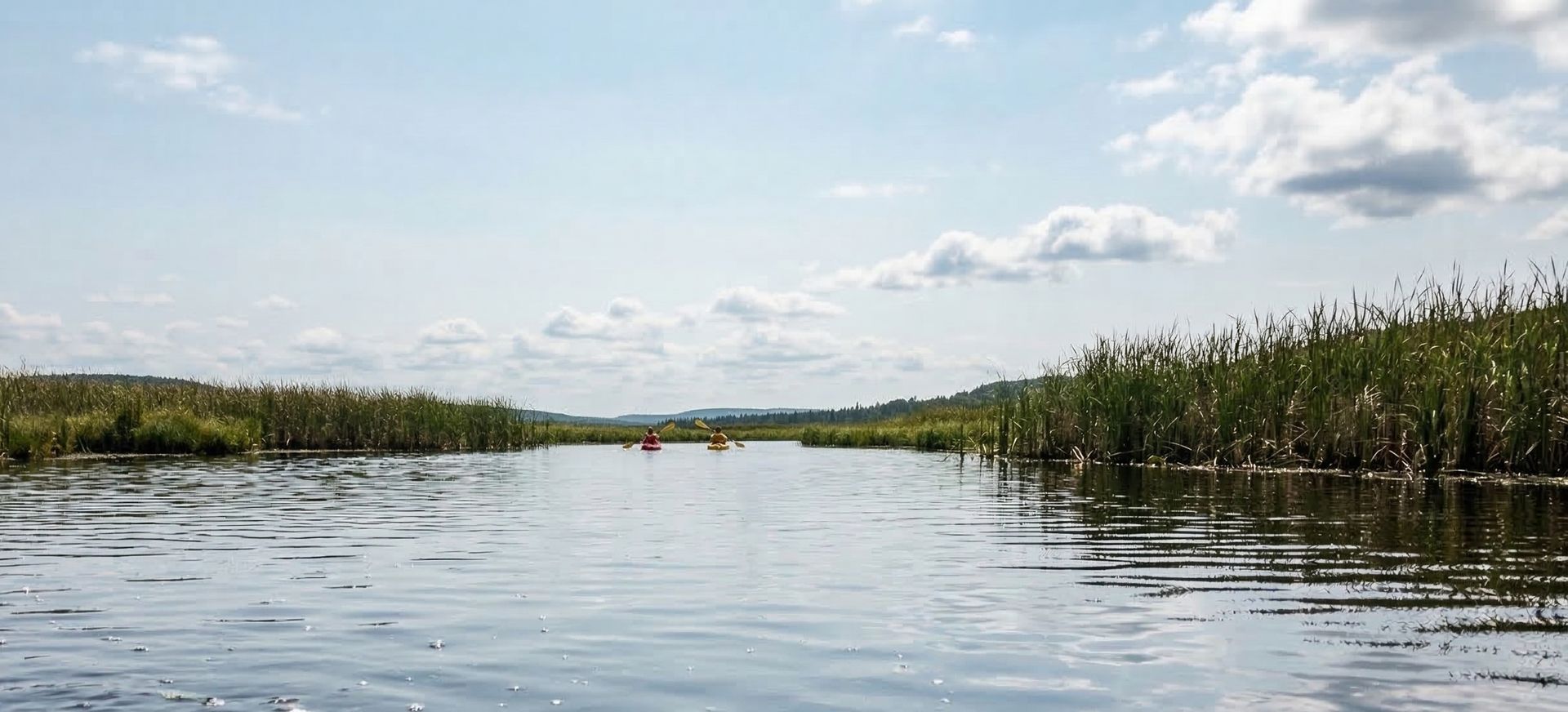 Kayakers paddling through a wide open marsh waterway