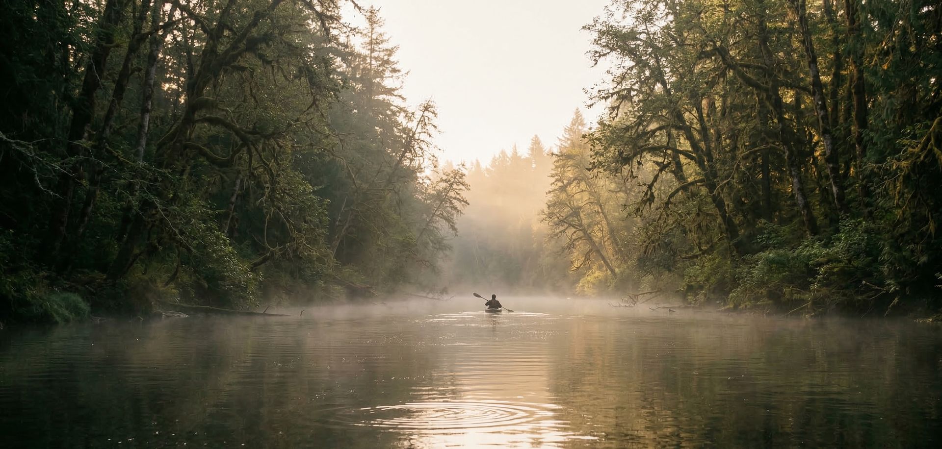 Solo kayaker on a misty river through old-growth Pacific Northwest forest
